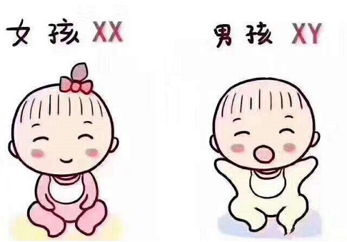 赴泰试管婴儿胚胎着床后多久可以听到宝宝的胎心？