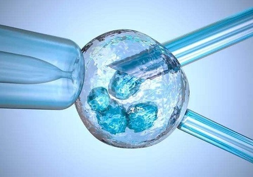 美国试管婴儿促排卵：哪些激素有变化？身体有什么反应？