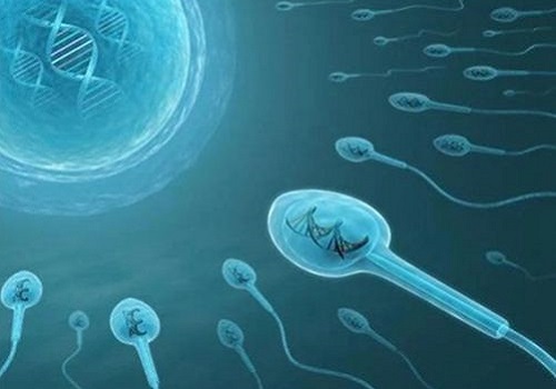 美国试管婴儿专家：2022多囊卵巢综合征的“好孕秘籍”请查收！