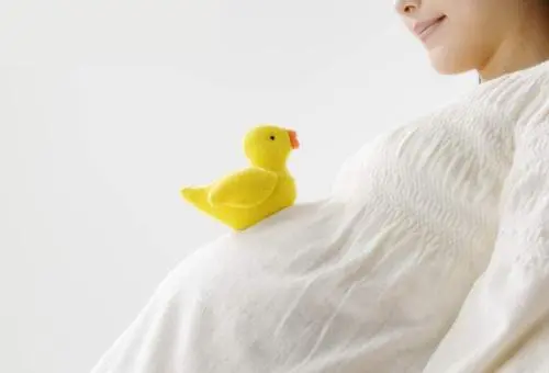 试管婴儿移植后怎么保胎？
