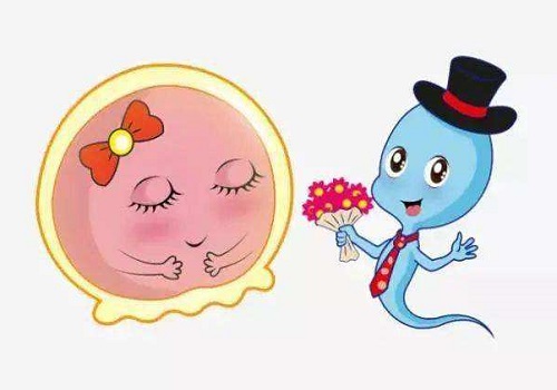 2022美国试管婴儿的发展趋势：“怀抱梦想，未来更近”