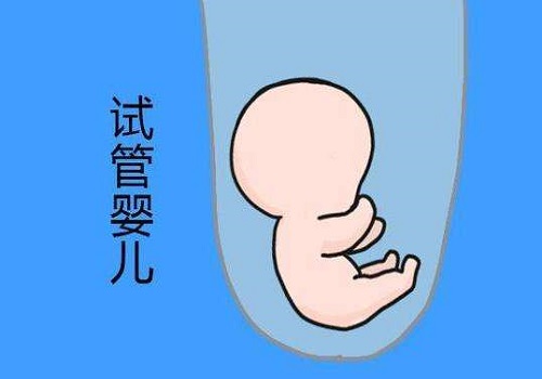 17号染色体异常，美国试管婴儿对新生儿有没有影响？