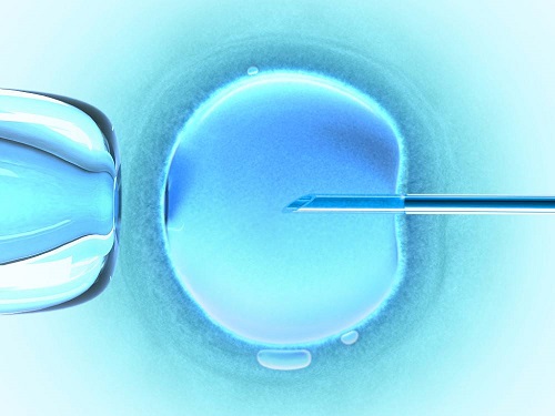 试管婴儿胚胎培养囊胚适合所有人吗？