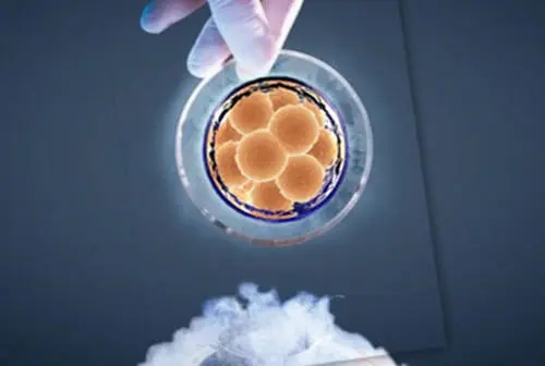 试管婴儿移植后失眠，对成功率的影响大吗？