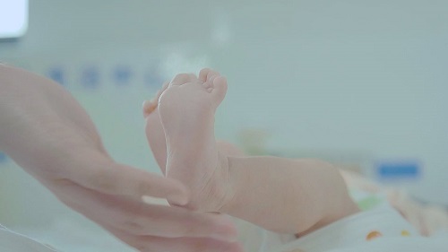 关注“三条腿” 梦美解读美国第三代试管婴儿技术