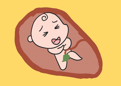 泰国试管婴儿卵泡检测有什么作用？