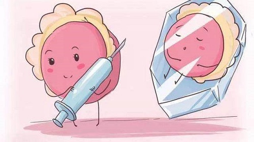 试管婴儿第一次成功的经验总结