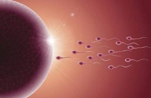 试管婴儿智商怎么样？试管婴儿对于卵泡有什么要求？