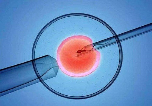 试管婴儿胚胎质量不好能成功吗？