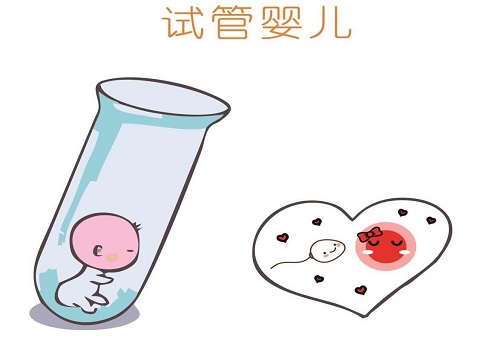 试管婴儿详细费用除了检查还有哪些？