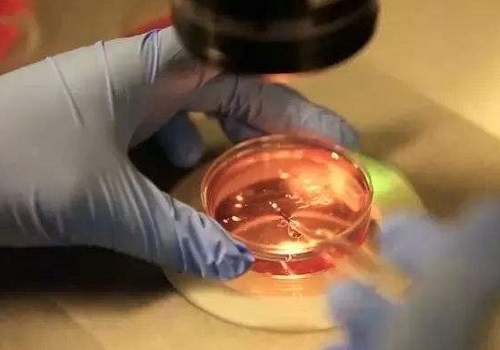 赴美做试管婴儿需要多少钱