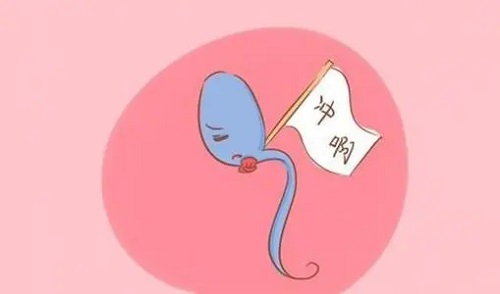 试管婴儿过程经历多久可以结束