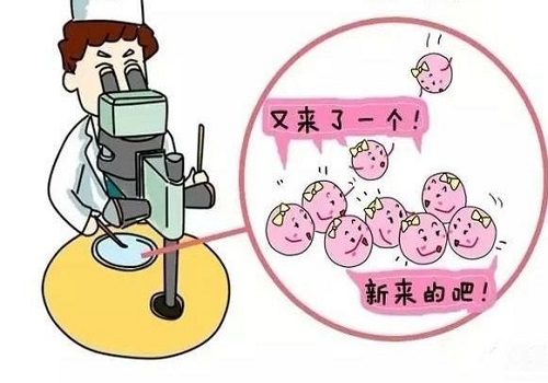 关于美国试管婴儿三大常用药质量与安全性分析