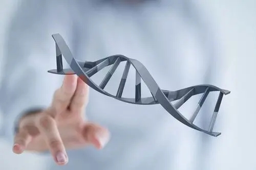做美国试管婴儿对身体有没有伤害？忽略不计!