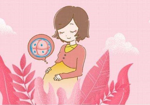 泰国试管婴儿取卵大概取多少合适？