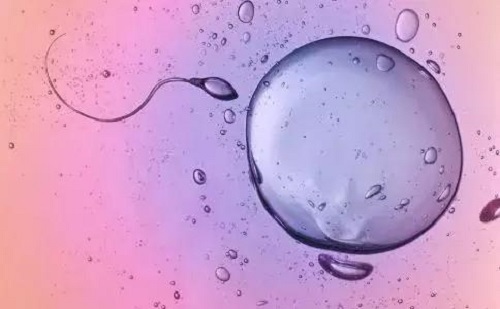 试管婴儿费用明细包含哪些