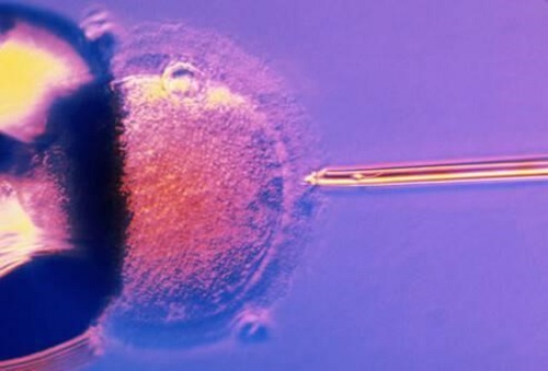 试管婴儿胚胎移植后怎么做到正确着床？