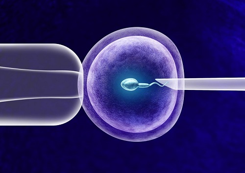 试管胚胎到囊胚的淘汰率那么高，为啥？