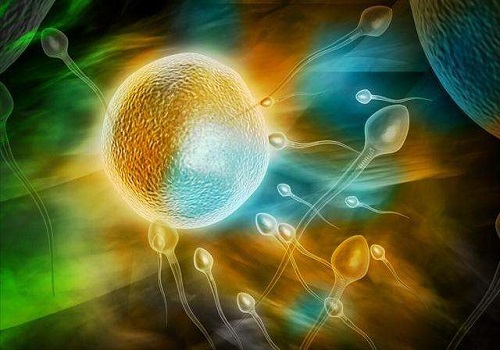 2022美国试管婴儿的发展趋势：“怀抱梦想，未来更近”
