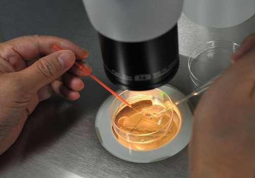 美国试管专家为您解答输卵管炎还能做试管吗