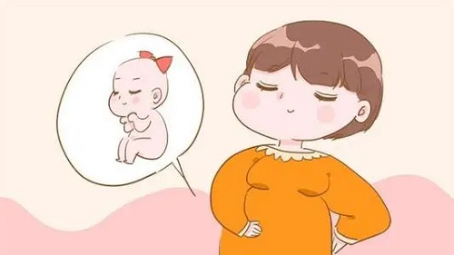 试管婴儿过程中取卵对卵巢伤害大吗？